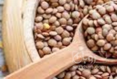فروش عدس