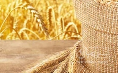 فروش جو