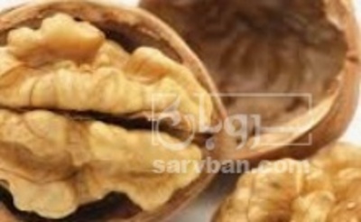 فروش گردو