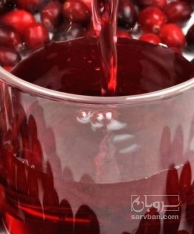 فروش  آب زغال اخته