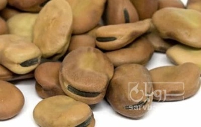 فروش باقلا تازه - باقالی - باقالا