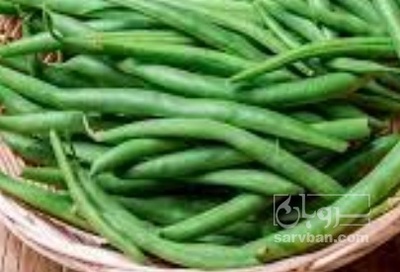 فروش لوبیا سبز