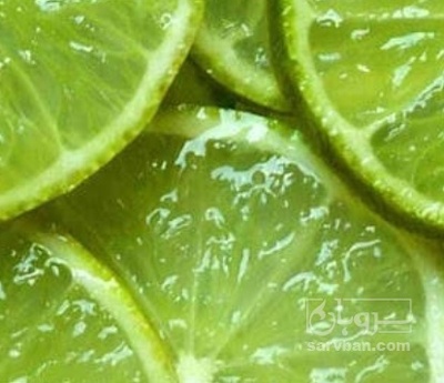 فروش لیمو ترش