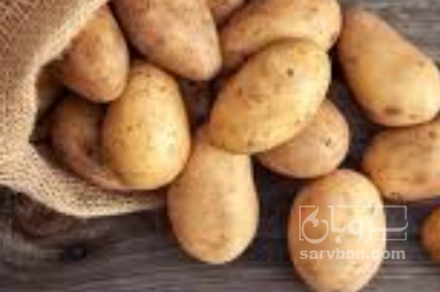 فروش سیب زمینی