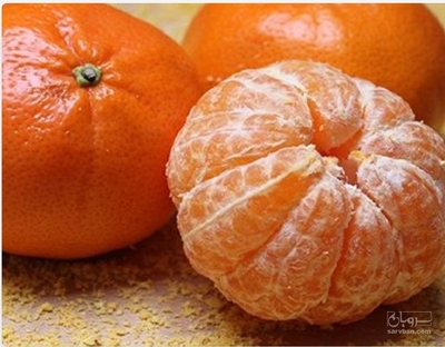 فروش نارنگی ژاپنی