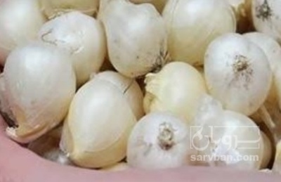 فروش موسیر بذری