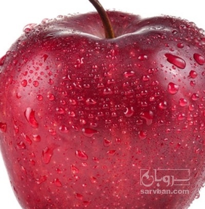 فروش سیب قرمز