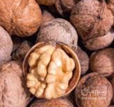 فروش گردو