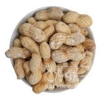 فروش بادام زمینی