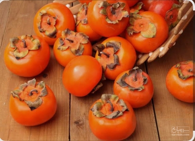 فروش خرمالو وحشی