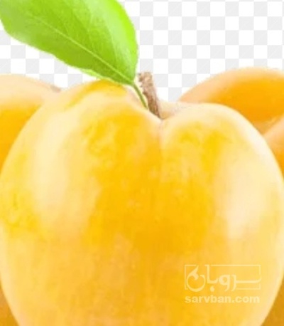 فروش آلو