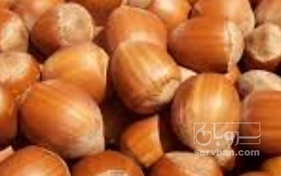 فروش فندق