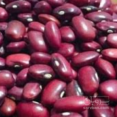 فروش لوبیا قرمز