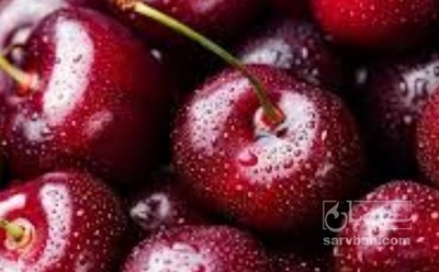 فروش گیلاس