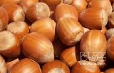 فروش فندق