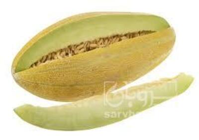 فروش خربزه