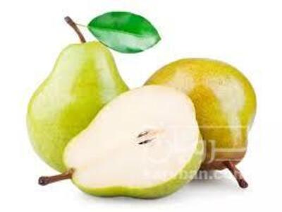 فروش گلابی درگزی