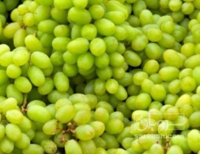 فروش آبغوره