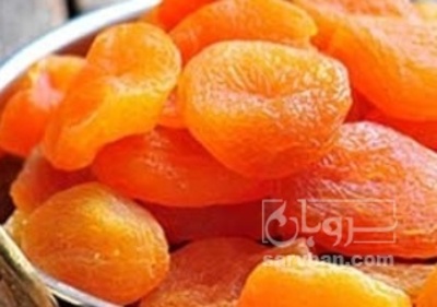 فروش برگه قیسی