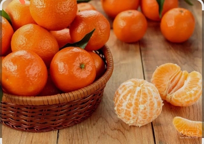 فروش نارنگی یافا