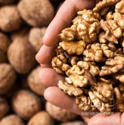 فروش گردو