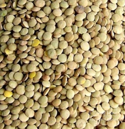 فروش عدس