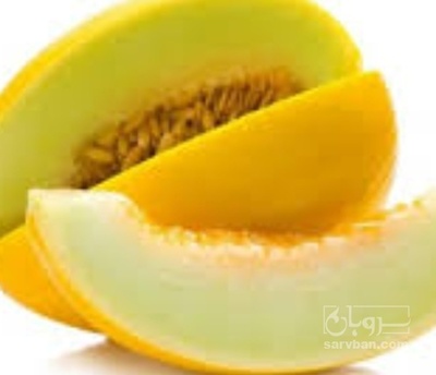 فروش خربزه زرد