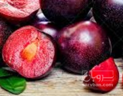 فروش آلو