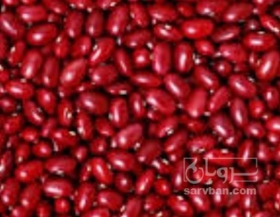 فروش لوبیا قرمز