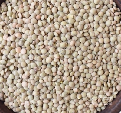 فروش عدس