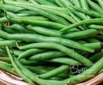 فروش لوبیا سبز