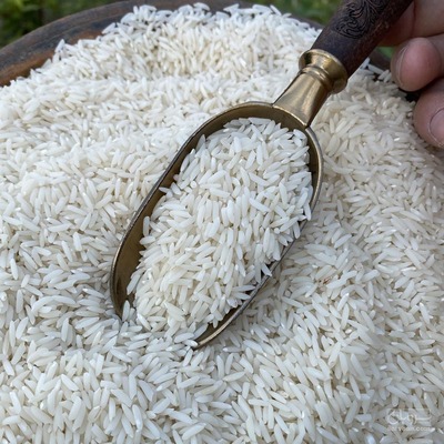 فروش برنج طارم