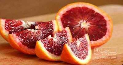 فروش پرتقال خونی