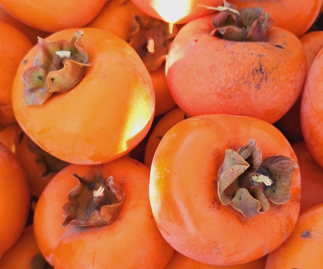 فروش خرمالو