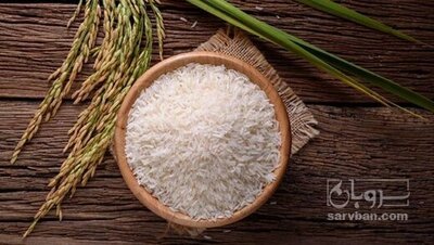 فروش برنج طارم