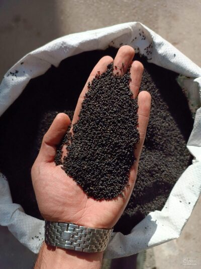 فروش سیاهدانه (گیاه‌ دارویی)