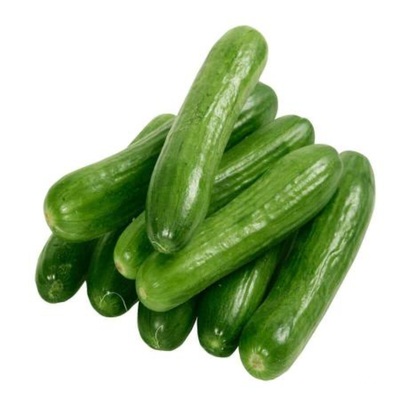 فروش خیار