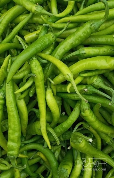 فروش فلفل تند