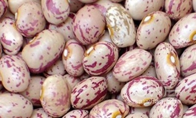 فروش لوبیا چیتی