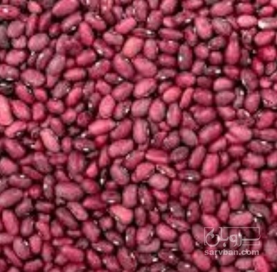 فروش لوبیا قرمز