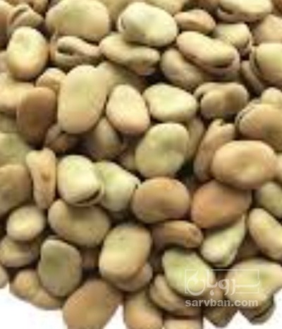 فروش باقلا تازه - باقالی - باقالا