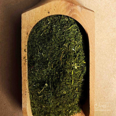 فروش شوید خشک (گیاه‌ دارویی)