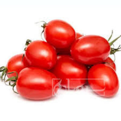 فروش گوجه فرنگی متین