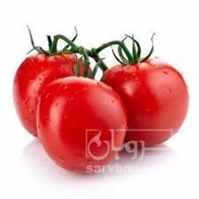 فروش گوجه فرنگی بدرو