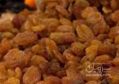 فروش کشمش
