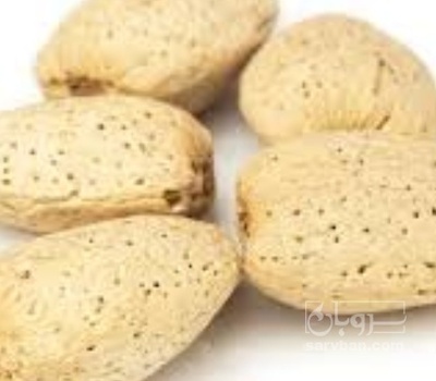 فروش بادام