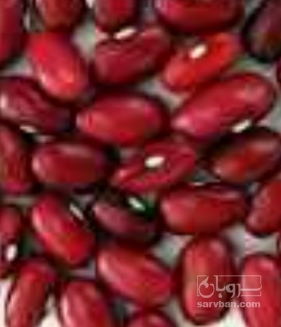 فروش لوبیا قرمز