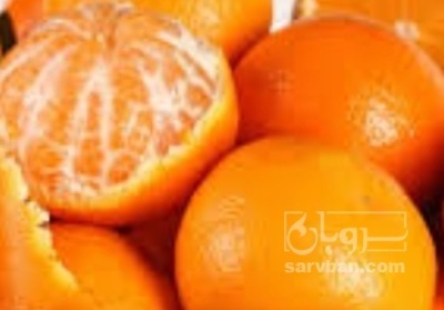 فروش نارنگی