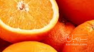فروش پرتقال