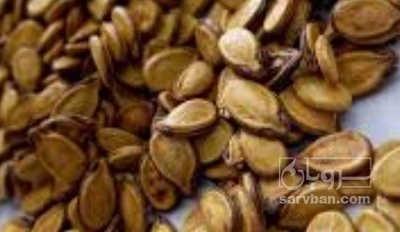 فروش تخمه هندوانه خام